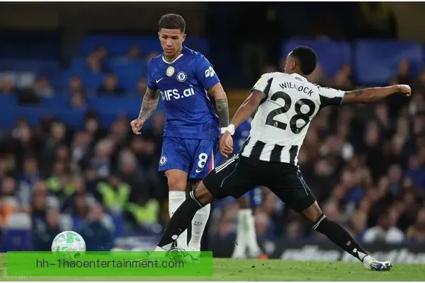 介绍壹号娱乐APP